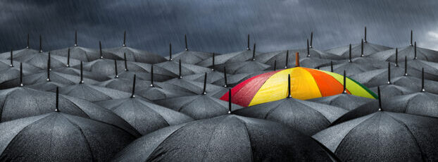 mini umbrella company fraud