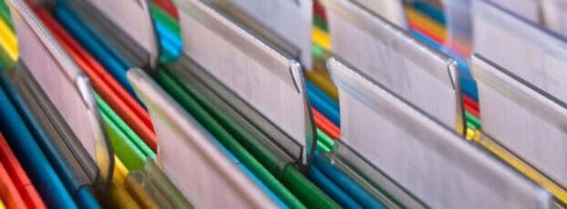 revenue vs capital expenses limited company